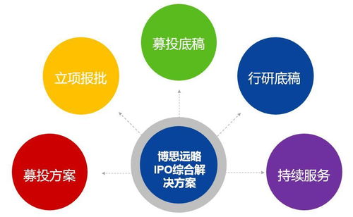 募投項目可行性研究與細分市場行業調查的詳細內容解析